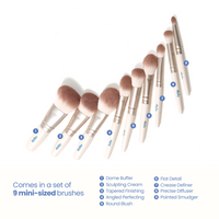 Easy On The Go Brushes